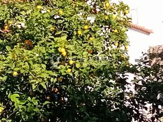 Μονοκατοικία 80 τ.μ. για πώληση