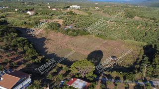 Οικόπεδο 24.187 τ.μ. για πώληση, Μεσσηνία, Αυλώνα-thumb-7