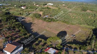 Οικόπεδο 24.187 τ.μ. για πώληση, Μεσσηνία, Αυλώνα-thumb-2