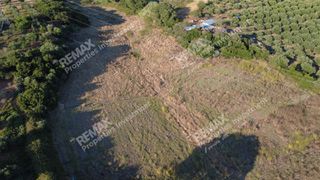 Οικόπεδο 24.187 τ.μ. για πώληση, Μεσσηνία, Αυλώνα-thumb-3