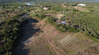Οικόπεδο 24.187 τ.μ. για πώληση, Μεσσηνία, Αυλώνα-thumb-4