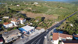 Οικόπεδο 24.187 τ.μ. για πώληση, Μεσσηνία, Αυλώνα-thumb-10