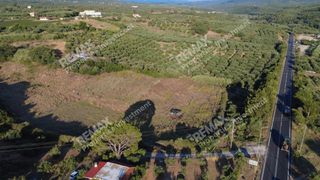 Οικόπεδο 24.187 τ.μ. για πώληση, Μεσσηνία, Αυλώνα-thumb-5