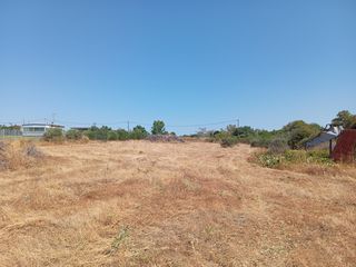 Αγροτεμάχια 4.100 τ.μ. για πώληση, Ν. Ροδόπης, Μαρώνεια-thumb-2