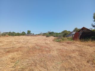 Αγροτεμάχια 4.100 τ.μ. για πώληση, Ν. Ροδόπης, Μαρώνεια-thumb-3