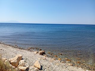 Αγροτεμάχια 4.100 τ.μ. για πώληση, Ν. Ροδόπης, Μαρώνεια-thumb-6
