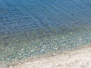 Αγροτεμάχια 4.100 τ.μ. για πώληση, Ν. Ροδόπης, Μαρώνεια-thumb-7