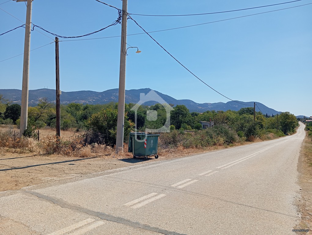 Αγροτεμάχια 4.300 τ.μ. προς πώληση, Λεύκες Μαρώνειας