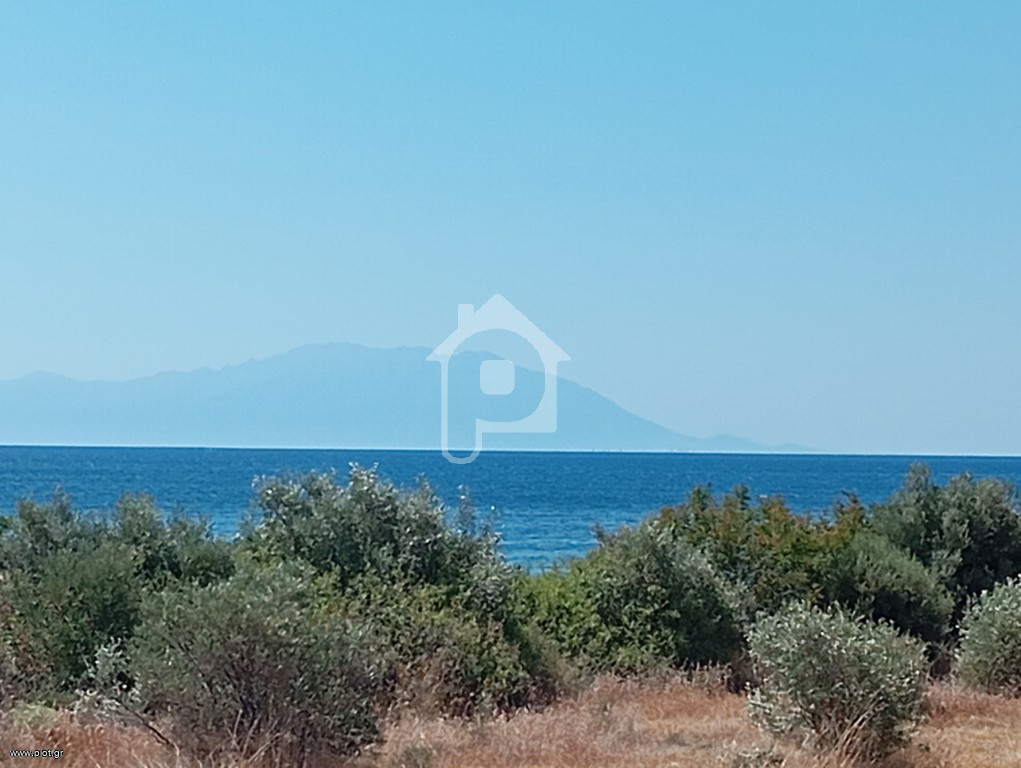 Αγροτεμάχια 4.300 τ.μ. προς πώληση, Λεύκες Μαρώνειας
