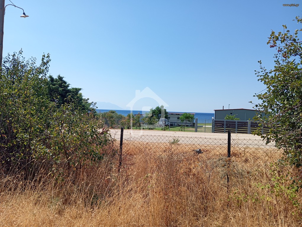 Αγροτεμάχια 4.300 τ.μ. προς πώληση, Λεύκες Μαρώνειας