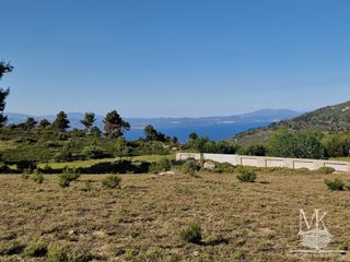 Αγροτεμάχια 4.900 τ.μ. για πώληση
