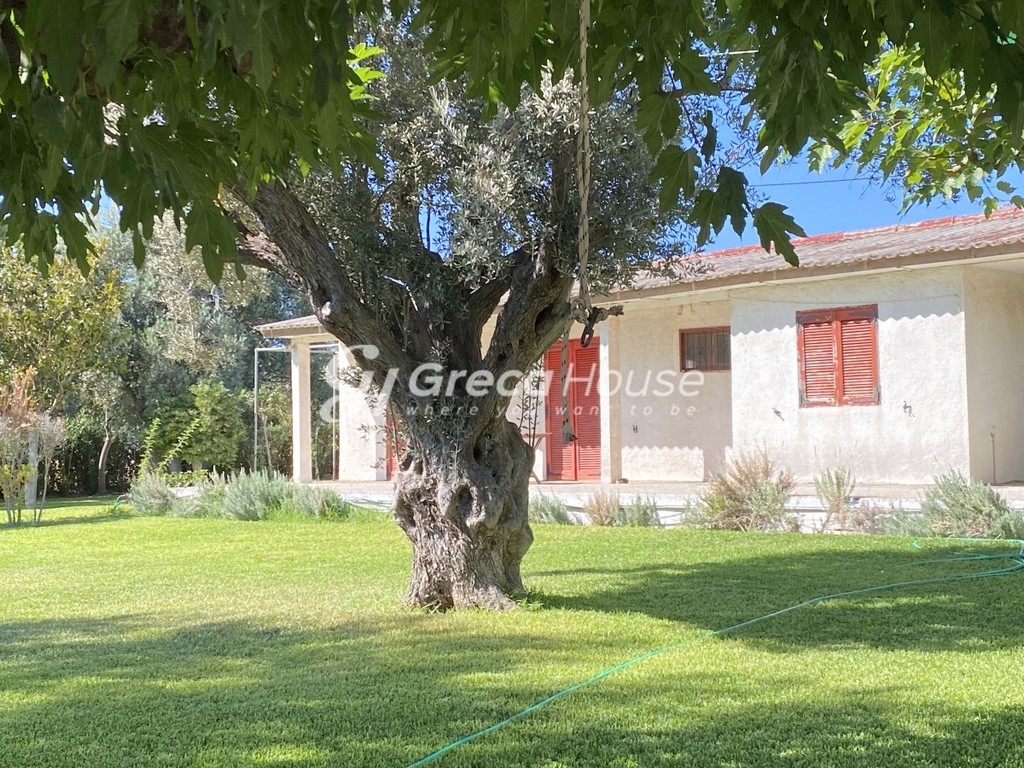 Μονοκατοικία 80 τ.μ. πρός πώληση, Εύβοια, Ερέτρια