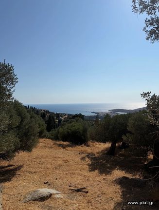 Οικόπεδο 1.986 τ.μ. για πώληση, Κυκλάδες, Άνδρος