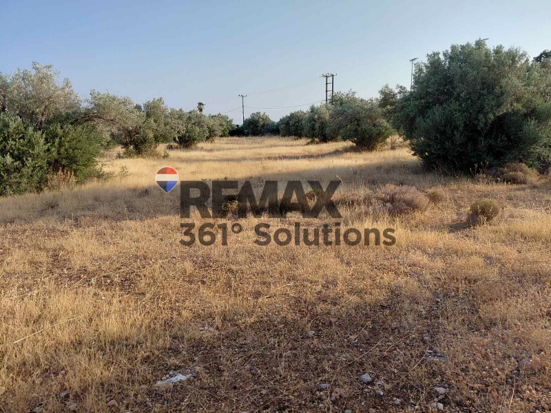 Αγροτεμάχια 9.623 τ.μ. πρός πώληση, Αθήνα - Ανατολικά Προάστια, Κορωπί