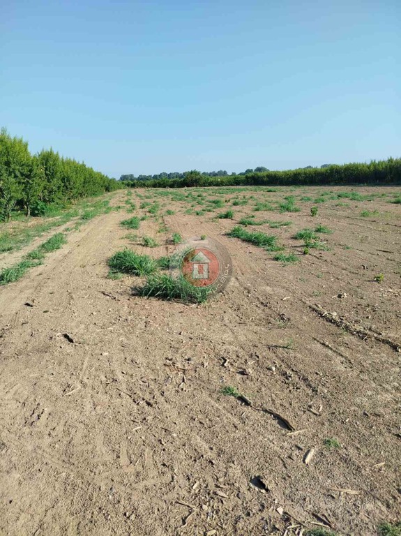 Αγροτεμάχια 7.350 τ.μ. πρός πώληση, Ημαθία, Απόστολος Παύλος