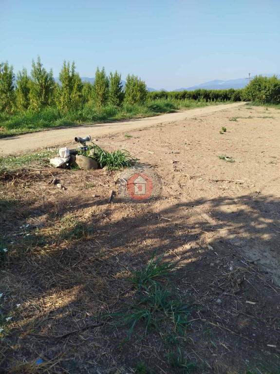 Αγροτεμάχια 7.350 τ.μ. πρός πώληση, Ημαθία, Απόστολος Παύλος