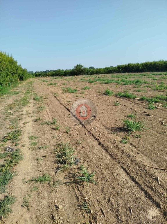 Αγροτεμάχια 7.350 τ.μ. πρός πώληση, Ημαθία, Απόστολος Παύλος
