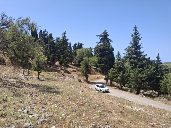 Αγροτεμάχια 2.054 τ.μ. προς πώληση, Αργοστόλι