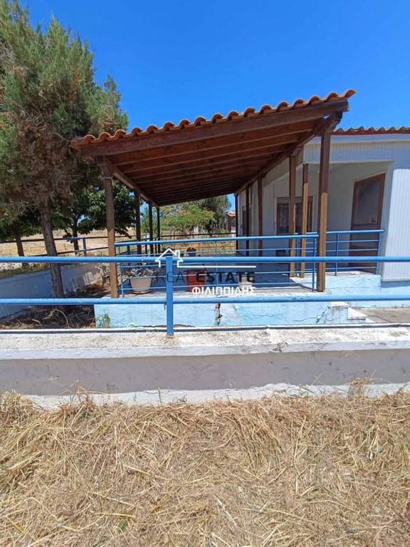 Μονοκατοικία 40 τ.μ. πρός πώληση, Ν. Ροδόπης, Αίγειρος