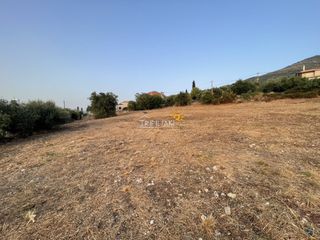 Οικόπεδο 4.196 τ.μ. για πώληση, Μεσσηνία, Κυπαρισσία-thumb-3