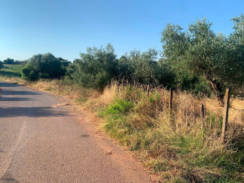Αγροτεμάχια 18 τ.μ. πρός πώληση, Μεσσηνία, Μεσσήνη