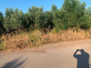 Αγροτεμάχια 18 τ.μ. για πώληση, Μεσσηνία, Μεσσήνη-thumb-4