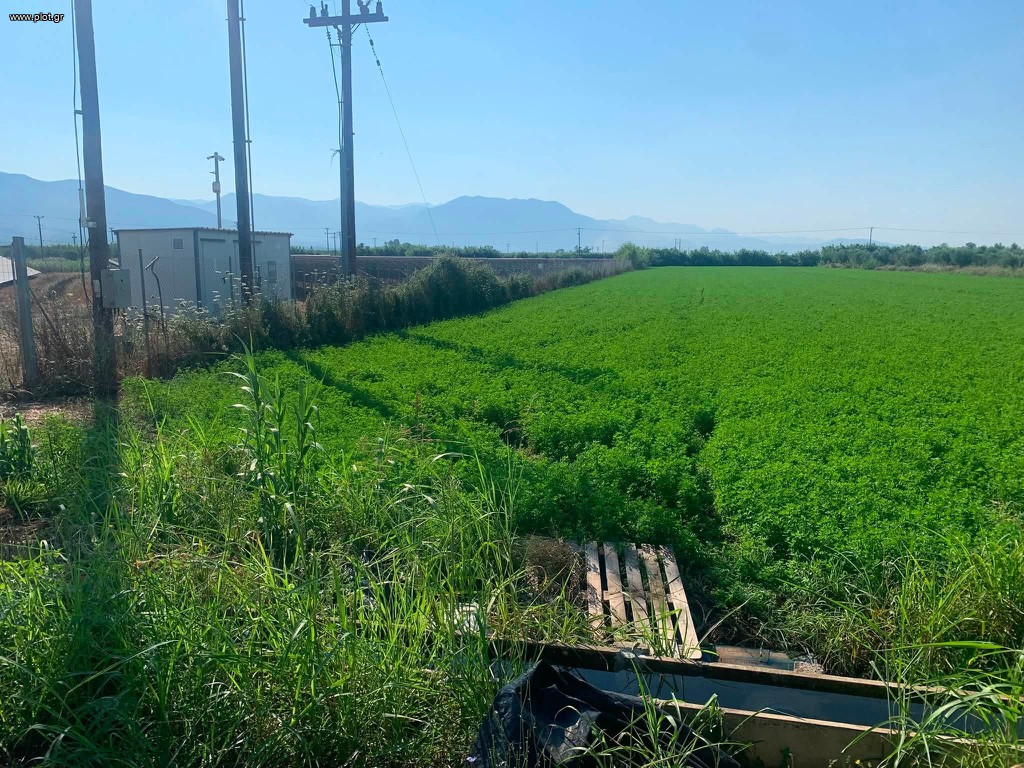 Αγροτεμάχια 10.250 τ.μ. πρός πώληση, Μεσσηνία, Μεσσήνη