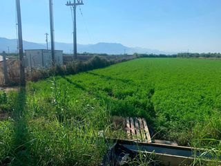 Αγροτεμάχια 10.250 τ.μ. για πώληση, Μεσσηνία, Μεσσήνη-thumb-3