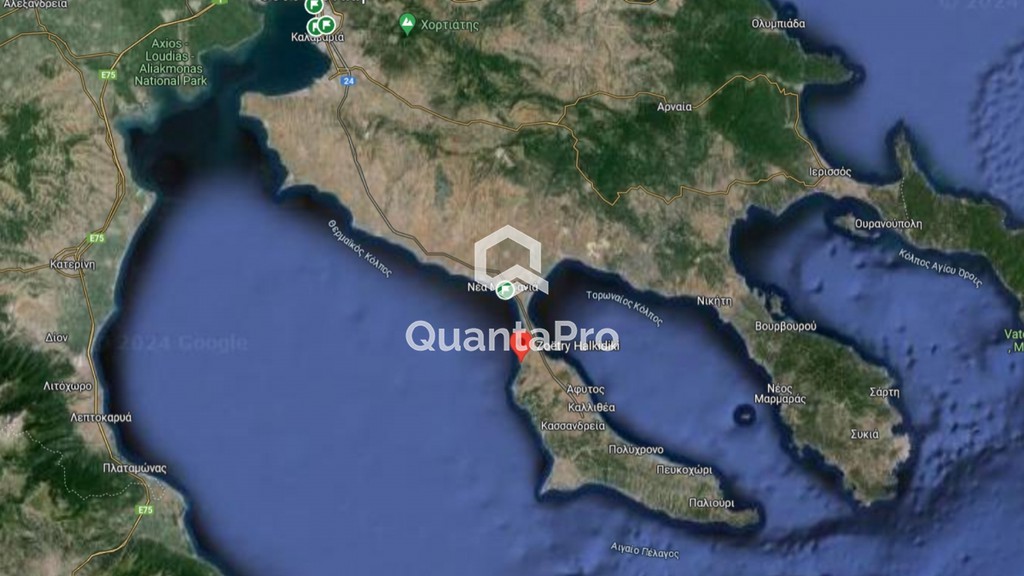Οικόπεδο 23.000 τ.μ. προς πώληση, Νέα Ποτίδαια