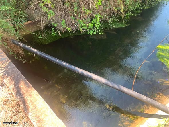Αγροτεμάχια 6.000 τ.μ. για πώληση, Μεσσηνία, Μεσσήνη