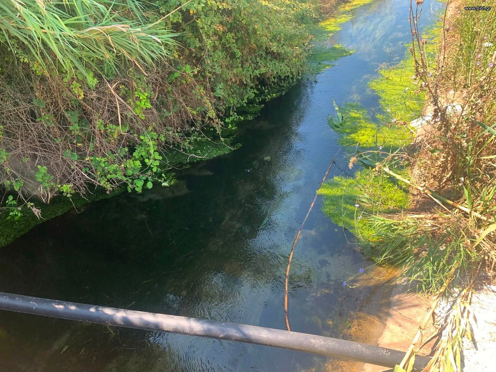 Αγροτεμάχια 6.000 τ.μ. πρός πώληση, Μεσσηνία, Μεσσήνη