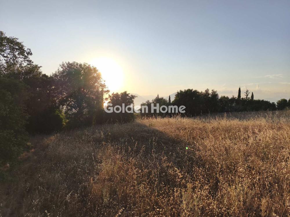 Αγροτεμάχια 1.600 τ.μ. προς πώληση, Μπάλας Πάτρας
