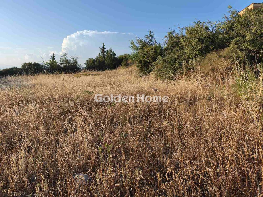 Αγροτεμάχια 1.600 τ.μ. προς πώληση, Μπάλας Πάτρας