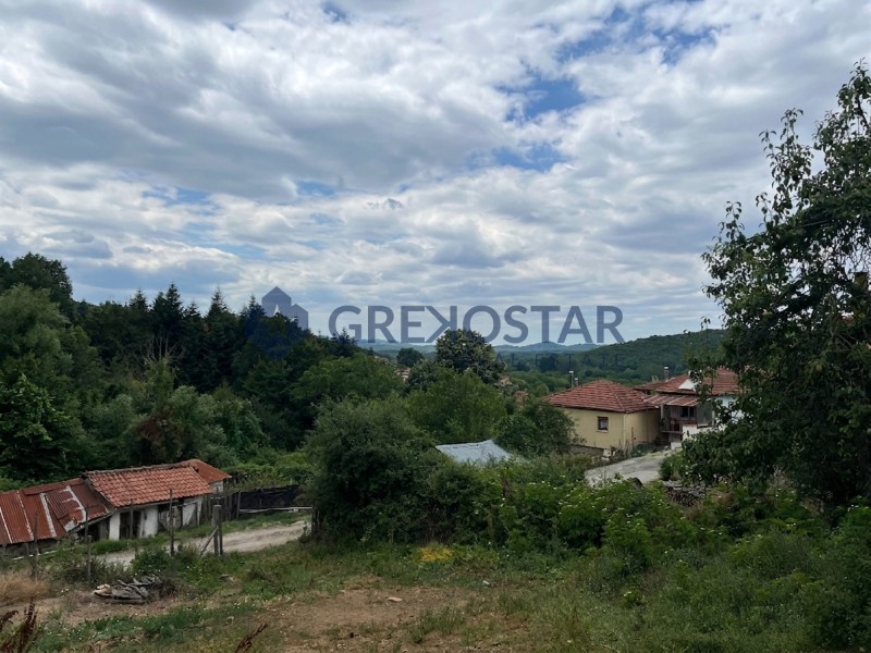Οικόπεδο 1.377 τ.μ. πρός πώληση, Χαλκιδική, Αρναία