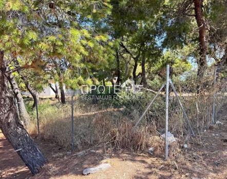 Οικόπεδο 441 τ.μ. προς πώληση