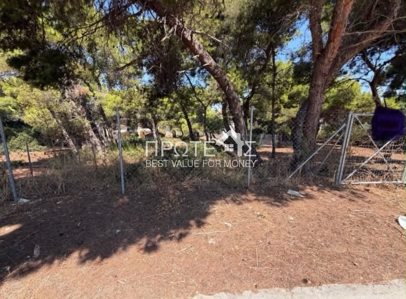 Οικόπεδο 441 τ.μ. πρός πώληση, Αττική - Υπόλοιπο, Ραφήνα