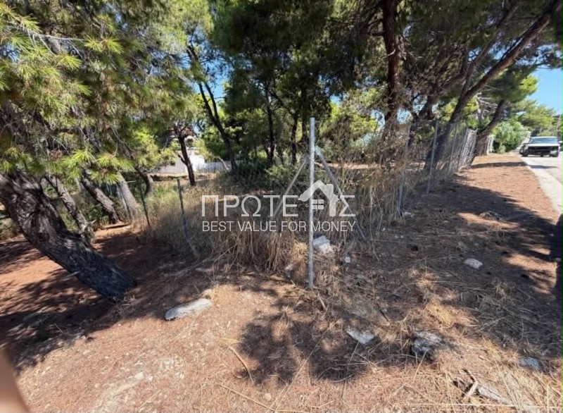 Οικόπεδο 441 τ.μ. πρός πώληση, Αττική - Υπόλοιπο, Ραφήνα