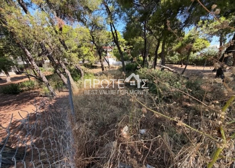 Οικόπεδο 441 τ.μ. πρός πώληση, Αττική - Υπόλοιπο, Ραφήνα