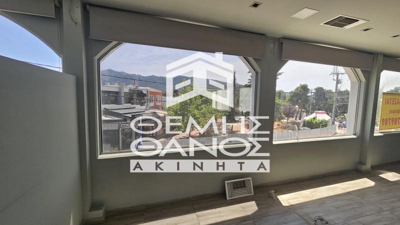 Κατάστημα 230 τ.μ. πρός ενοικίαση, Αθήνα - Βόρεια Προάστια, Δροσιά