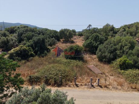 Αγροτεμάχια 1.207,50 τ.μ. προς πώληση