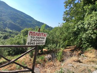 Αγροτεμάχια 2.400 τ.μ. για πώληση