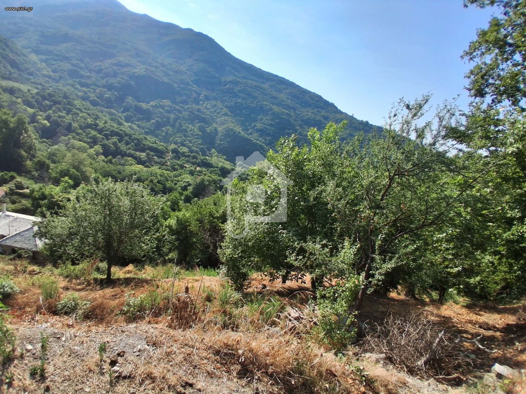 Αγροτεμάχια 2.400 τ.μ. πρός πώληση, Μαγνησία, Αγριά