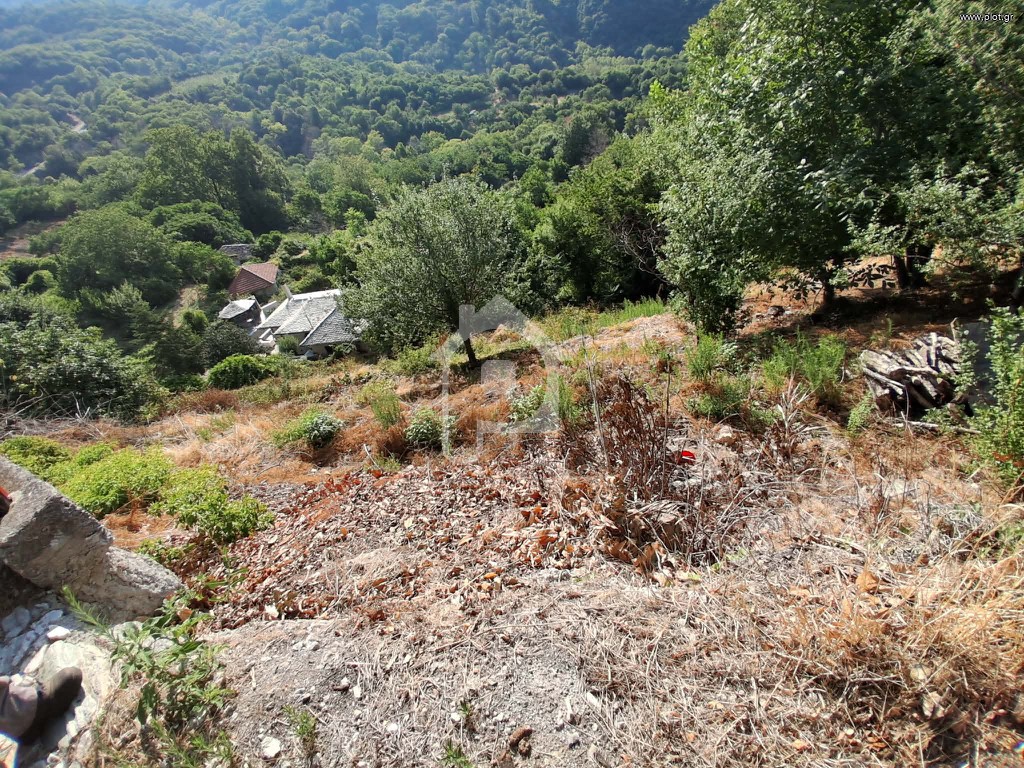 Αγροτεμάχια 2.400 τ.μ. πρός πώληση, Μαγνησία, Αγριά