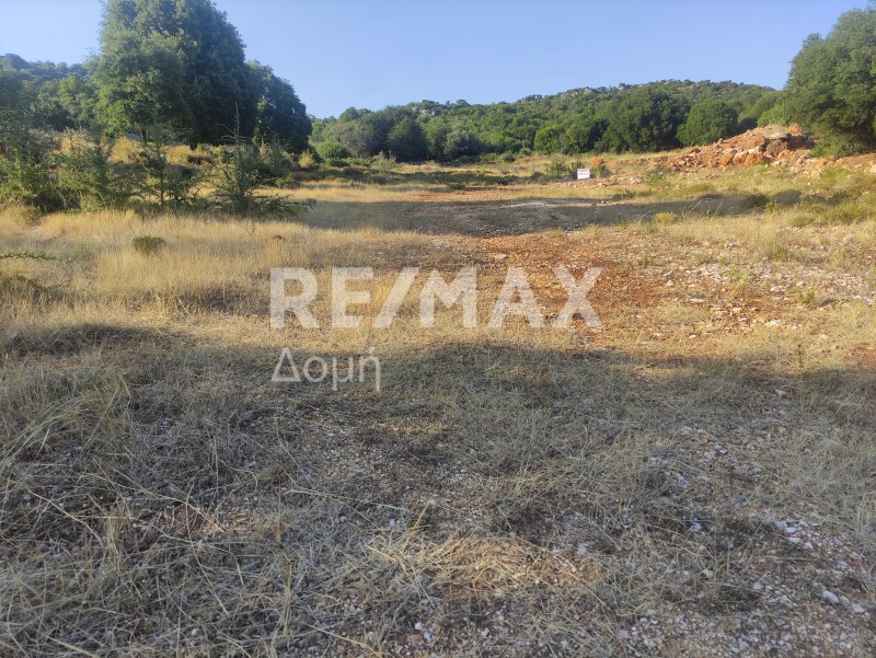 Αγροτεμάχια 6.276 τ.μ. πρός πώληση, Μαγνησία, Σηπιάδα