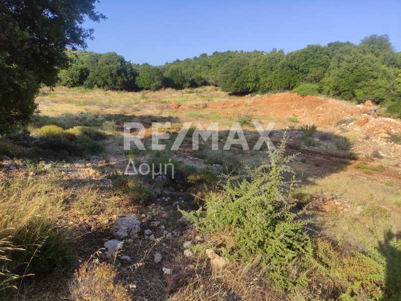 Αγροτεμάχια 6.276 τ.μ. πρός πώληση, Μαγνησία, Σηπιάδα