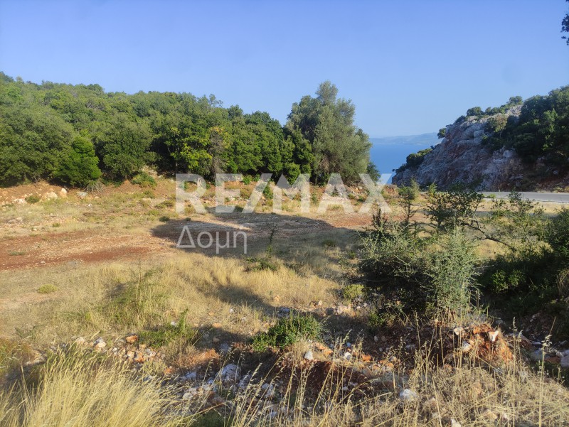 Αγροτεμάχια 6.276 τ.μ. πρός πώληση, Μαγνησία, Σηπιάδα