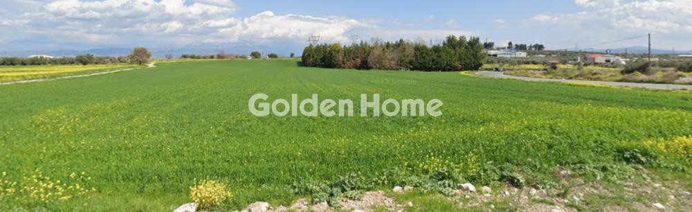 Αγροτεμάχια 71.895 τ.μ. προς πώληση, Κέντρο Σχηματαρίου