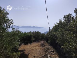 Οικόπεδο 1.546 τ.μ. για πώληση