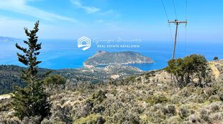 Αγροτεμάχια 5.376 τ.μ. για πώληση