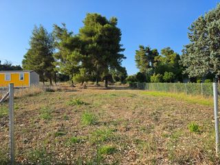Οικόπεδο 531 τ.μ. για πώληση, Εύβοια, Κηρέα-thumb-1